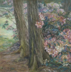 Clara Voortman Rhododendronbusch